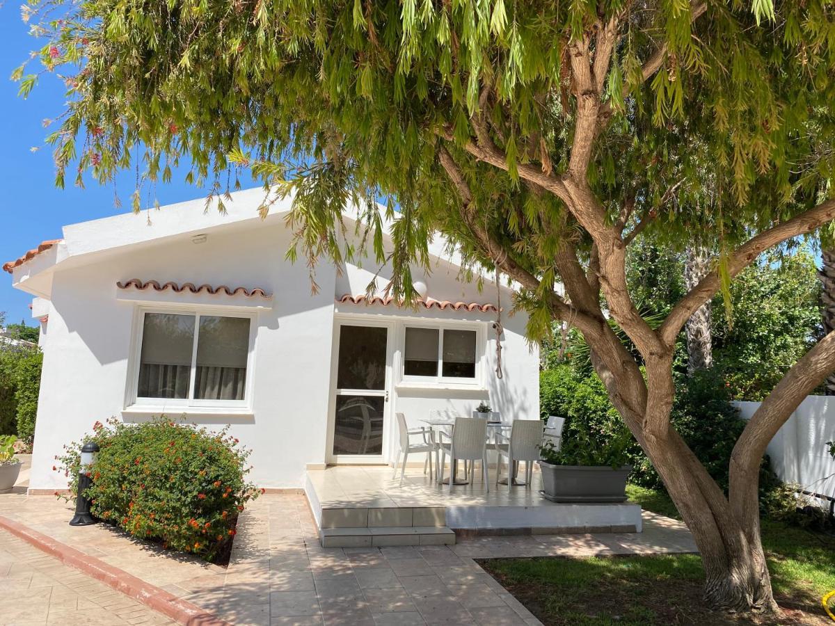 Fig Tree Z Holiday Resort 파라림니 외부 사진
