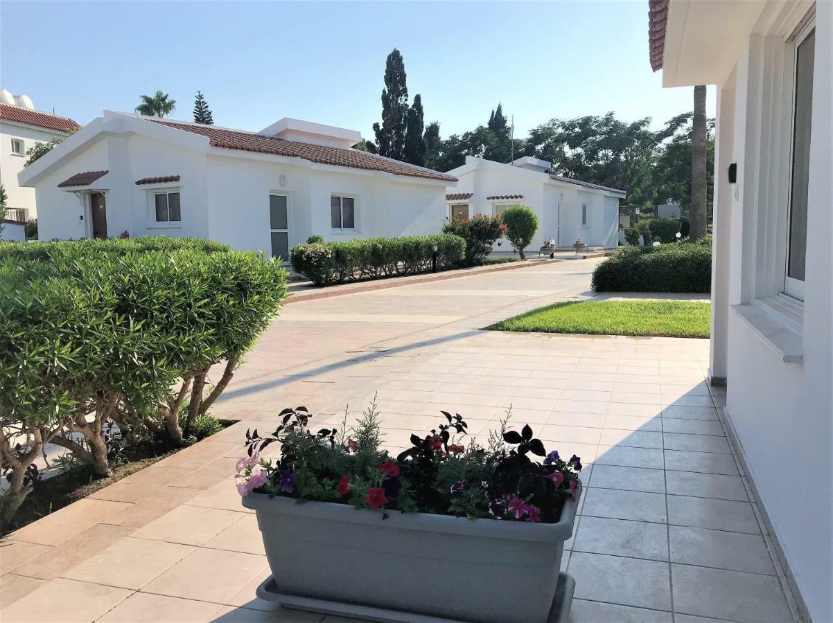 Fig Tree Z Holiday Resort 파라림니 외부 사진