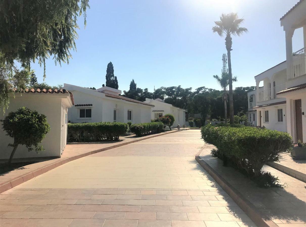 Fig Tree Z Holiday Resort 파라림니 외부 사진